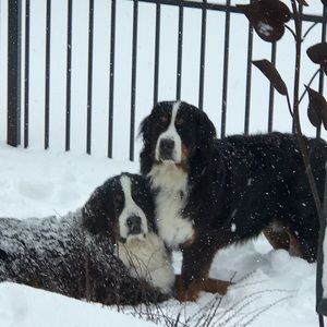 Meet your Posher, Nancy